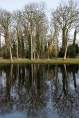 Trees with bare branches along a footpath to a pond reflected in the water at the end of winter 