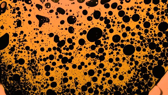 Fantastic structure of black and orange bubbles. Scientific chemical reactions. Chaotic motion, bubble flow expansion, curlicue of paints. Psychedelic liquid light show, ink patterns in water + oil.