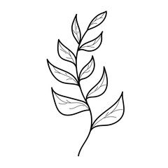 Vector outline icon of a branch with leaves. Isolated black simple line illustration element from nature concept.