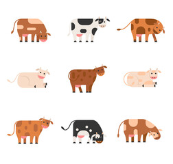 Set of cute Cows character, vector illustration in flat stile