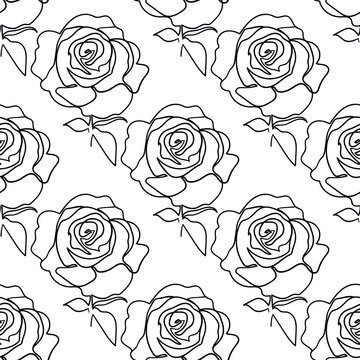 Vector seamless pattern with rose flowers outline on the white background. 
