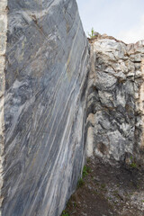 white marble stones with forest