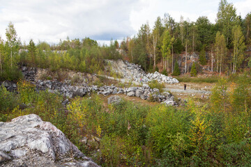 Obraz premium white marble stones with forest