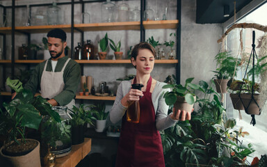 Shop assistants working in indoor potted plant store, small business concept.