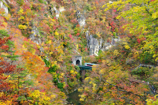 The Train runs into tunnel in Naruko gorge, Miyagi, Tohoku, Japan.