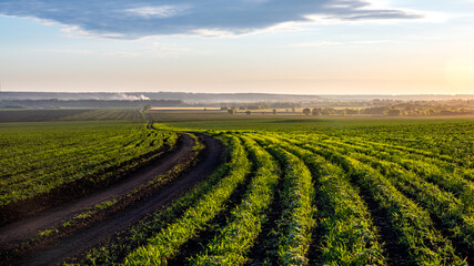 A road that goes off into the distance among the fields