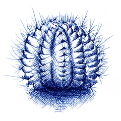 Fresh succulent and cactus of  foliage. Isolate on white background with young spring of the plant by watercolor hand drawn painting with brushes strokes.