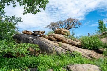 African panorama in Eyasi Lake