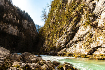 Green moss wall in Abkhazia, mountain textures, stone, water. Beautiful background. The texture of moss and stone.