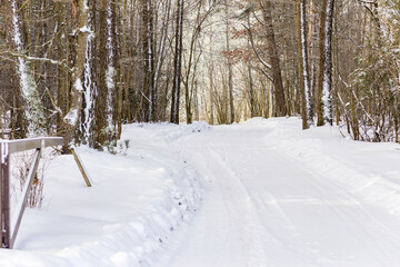 Snowy trail path in the winter coniferous forest.Cold winter snowy morning