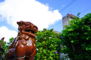 青空を見上げるシーサー　沖縄の夏
