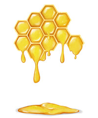 Digitally drawn honeycomb and honey. Natural, organic product, healthy and proper nutrition. Summer illustration.