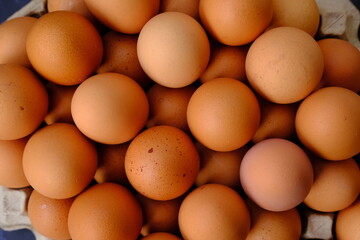 close up egg on wood table background
