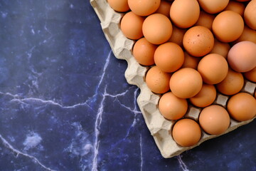 close up egg on wood table background