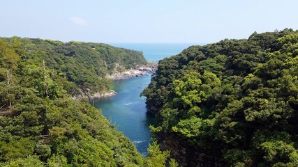 Fototapeta na wymiar 屋久島 国立公園 鹿児島