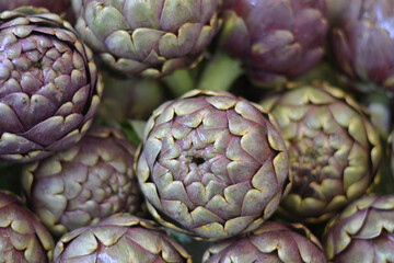 carciofi freschi appena raccolti da agricoltura bio