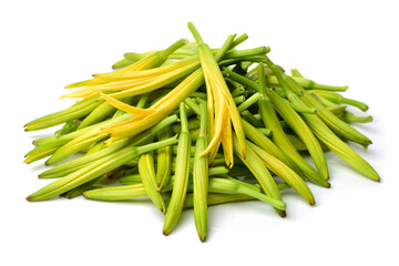 Daylily on white background