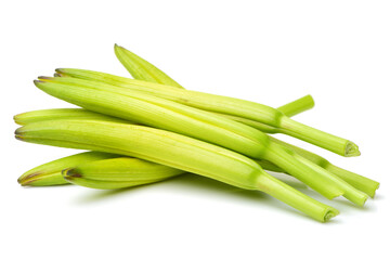Daylily on white background