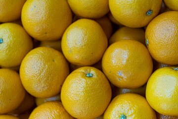 Sets of several lemons in a box