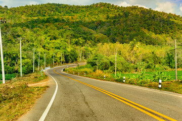 Road and forest color  on both sides