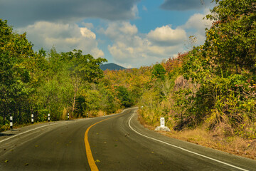 Naklejka premium Road and forest color on both sides
