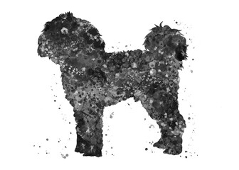 Cavapoo Dog black and white watercolor, abstract painting. Watercolor illustration rainbow, colorful, decoration wall art.
