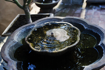 garden fountain 