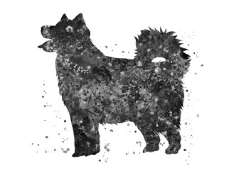 Alaskan Malamute Dog black and white watercolor, abstract painting. Watercolor illustration rainbow, colorful, decoration wall art.
