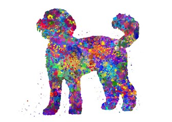 Labradoodle Dog watercolor, abstract painting. Watercolor illustration rainbow, colorful, decoration wall art.	