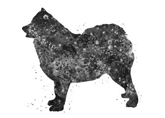 Samoyed Dog black and white watercolor, abstract painting. Watercolor illustration rainbow, colorful, decoration wall art.