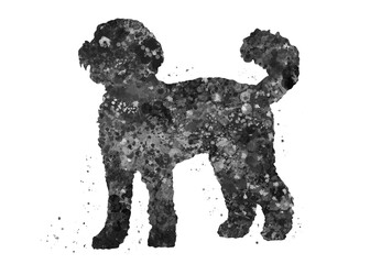 Labradoodle Dog black and white watercolor, abstract painting. Watercolor illustration rainbow, colorful, decoration wall art.