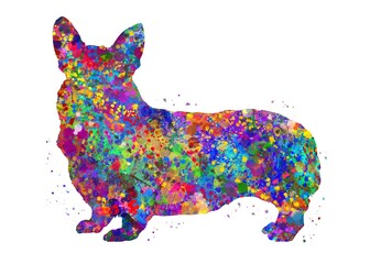 Pembroke Welsh Corgi Dog watercolor, abstract painting. Watercolor illustration rainbow, colorful, decoration wall art.	