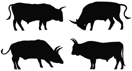 Bull silhouettes isolated on white background. Black outlines of animals. Template for butcher shops and farm logo. Cows and bulls are cattle animals, which bred for meat and milk.