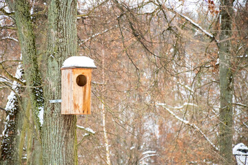 Wooden bird house with roof covered by snow in a forest or park in winter