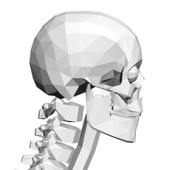 Low poly skull with human spine. Side view. 3D. Vector illustration