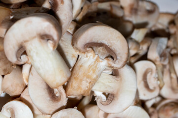 mushrooms, food background. close up. 