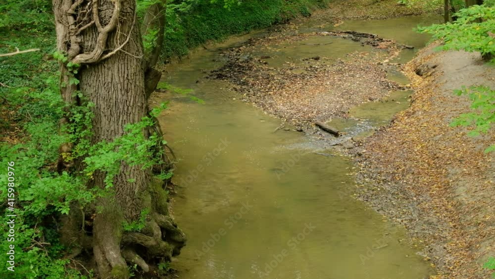 Sticker flowing stream in autumn forest. real time shot