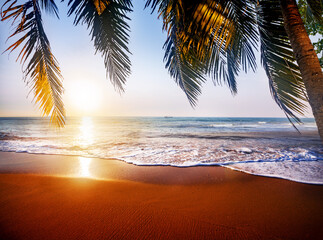Beautiful tropical beach and leaves of coconut palm trees at sunset time