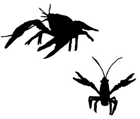 威嚇するザリガニのシルエット