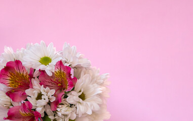 White chrysanthemum with pink alstroemeria in a bouquet on a pink background