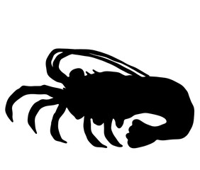 横を向いた伊勢エビのシルエット