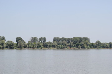 landscape with trees on lakeside