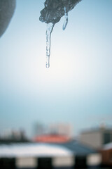 Naklejka na ściany i meble icicle hanging from the roof at the same winter