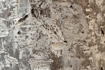 Obraz premium stone wall texture
