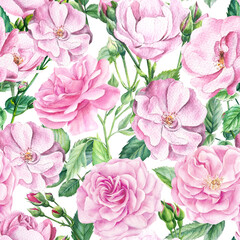 Floral seamless patterns from branches of roses, buds on an isolated background. Watercolor painting