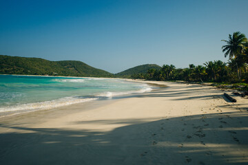Gorgeous coconut palm trees overlooking Flamenco beach on the Puerto Rico island of Culebra.