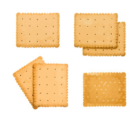 Golden biscuit cookies set, crackers vector illustration