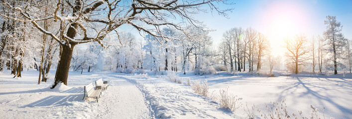 Panorama of beautiful winter park
