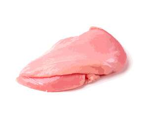 Fresh Uncooked Raw Turkey Fillet Breast Meat Isolated