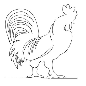 recommend clip art: chicken rooster